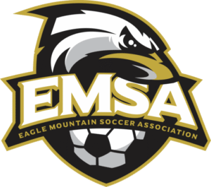 EMSA Logo